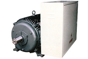 DYG系列高起動(dòng)轉(zhuǎn)矩多速電動(dòng)機(jī)