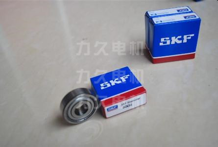 力久電機(jī)SKF軸承 力久電機(jī)SKF軸承