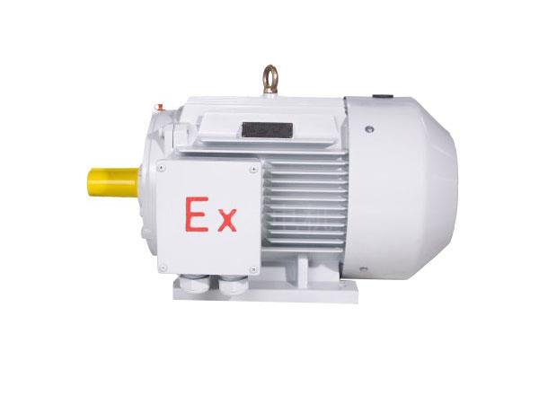 YFBX4系列高效率粉塵防爆型三相異步電動(dòng)機(jī)