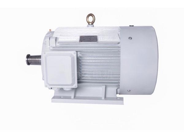 DYG系列高起動(dòng)轉(zhuǎn)矩多速電動(dòng)機(jī)系統(tǒng)