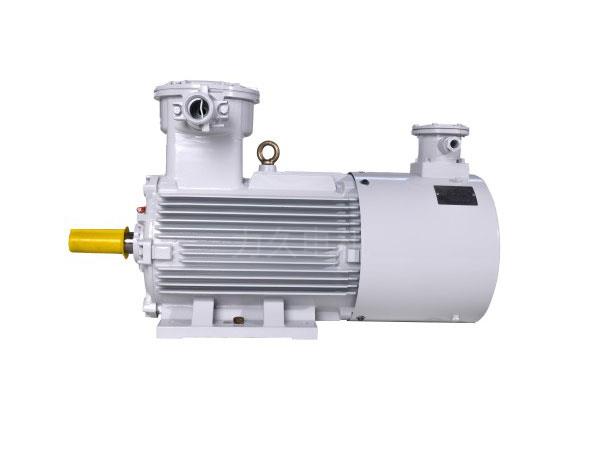 YBBPX3系列高效率隔爆型變頻調(diào)速三相異步電動機(jī)