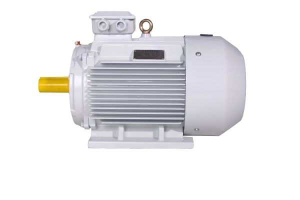 TYC系列三相永磁同步電動(dòng)機(jī)